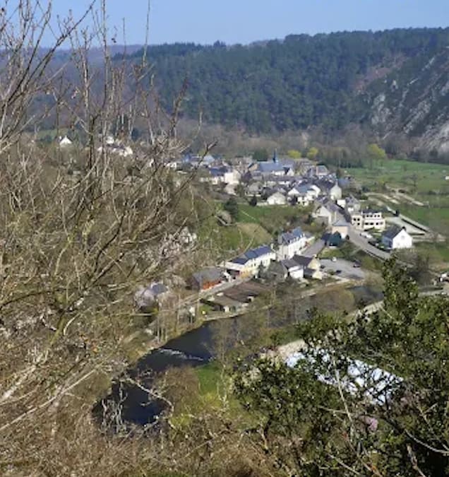 Photo 11