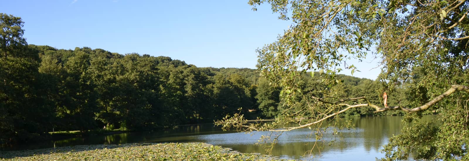 🏃 L'Arborétum 2025 Parcours, inscriptions & résultats Finishers