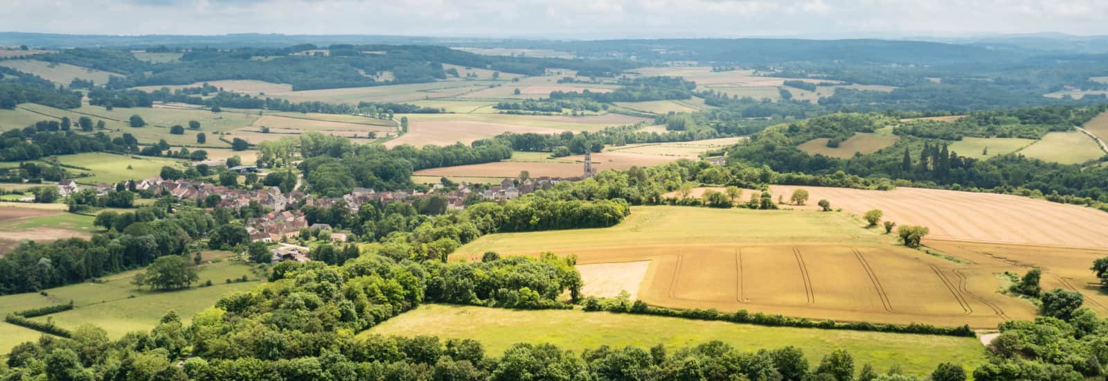 🏃 Les Courses du Père Noël 2023 - Parcours, inscriptions & résultats