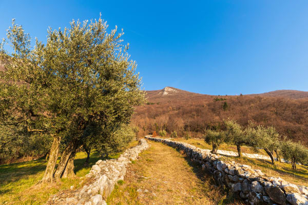 Antico Trail del Contrabbandiere