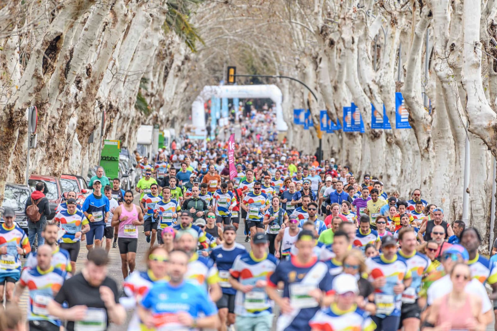 Media Maratón de Málaga (TotalEnergies)