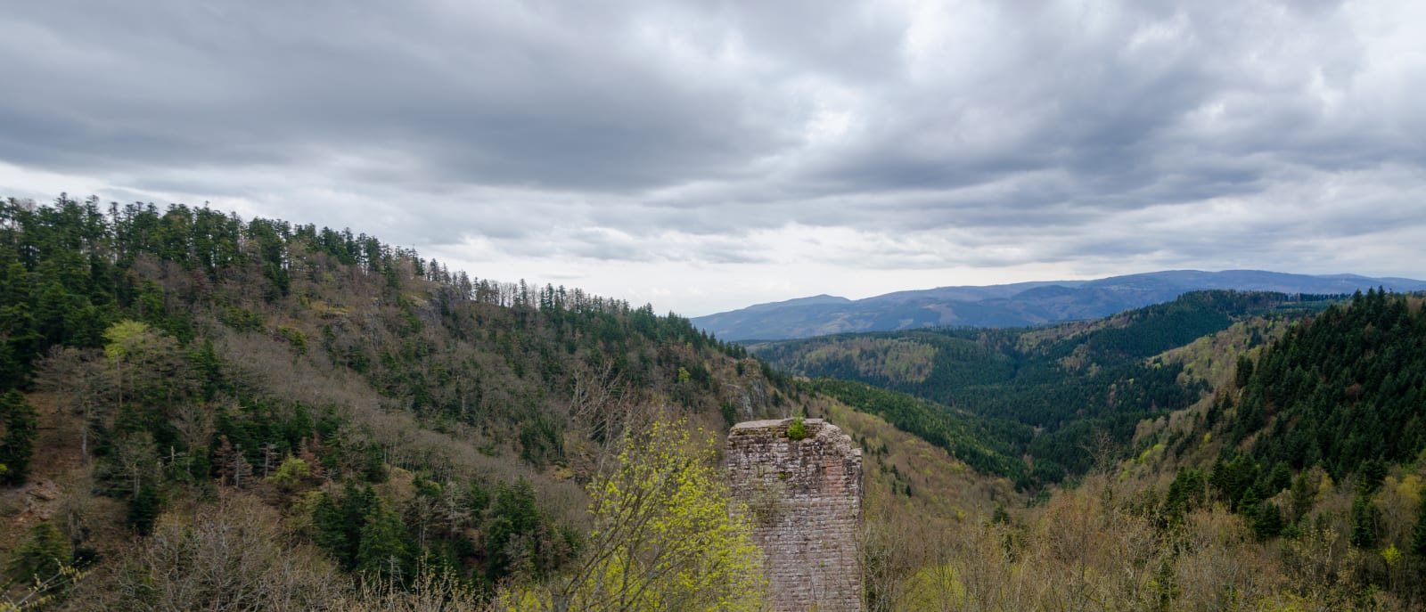Foulée des Combes