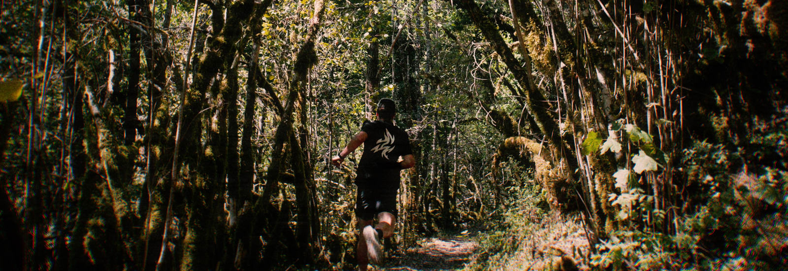 Trail des Petits Sapins