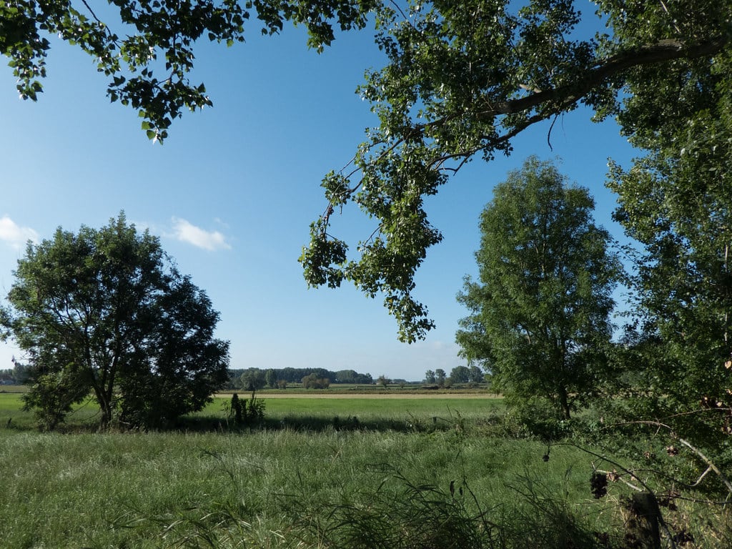 Farm Trail