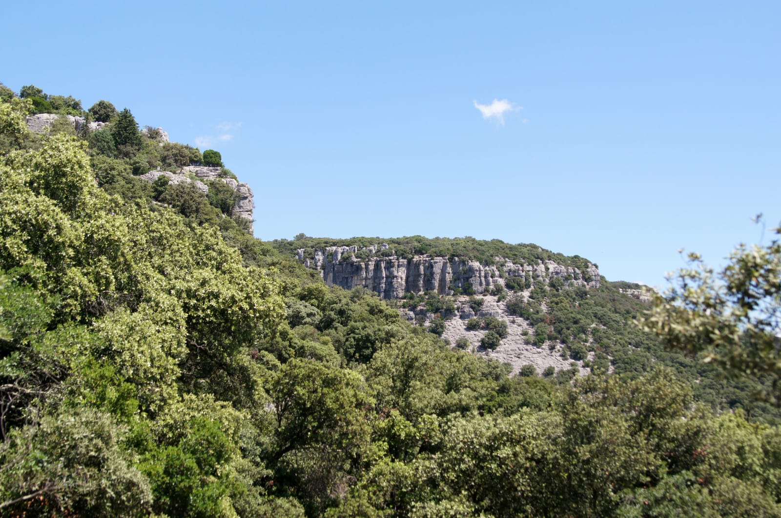 Trail de Coutach