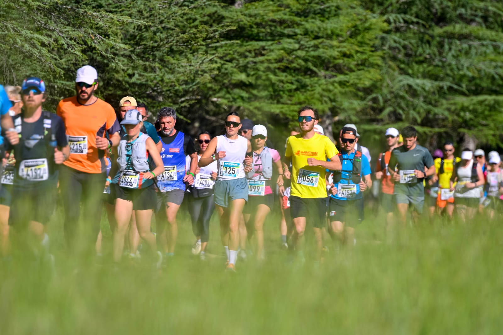 Marathon Var Provence Verte