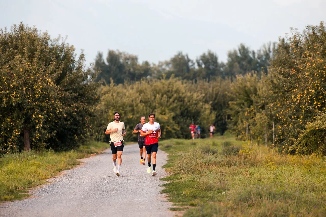 Valais Running