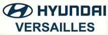 HYUNDAI VERSAILLES