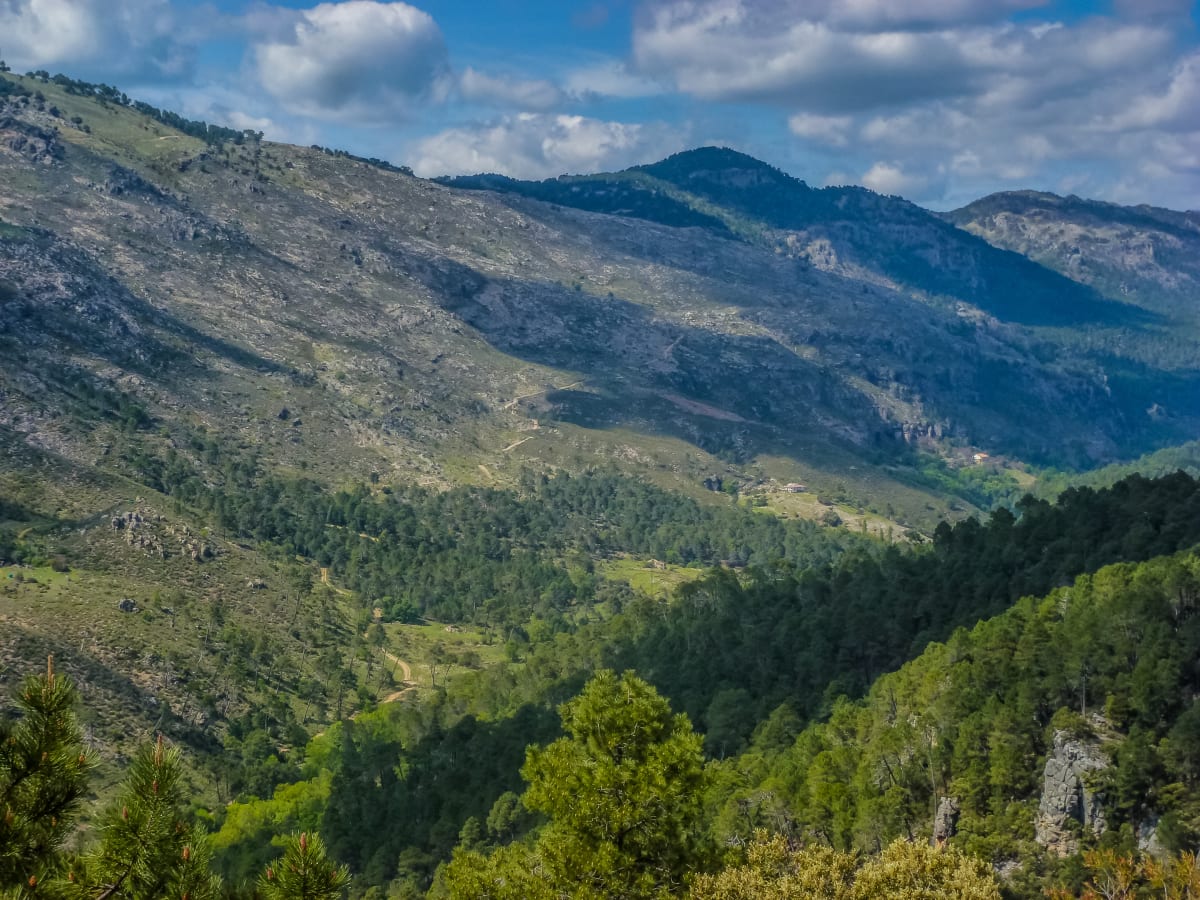Trail Bosques del Sur