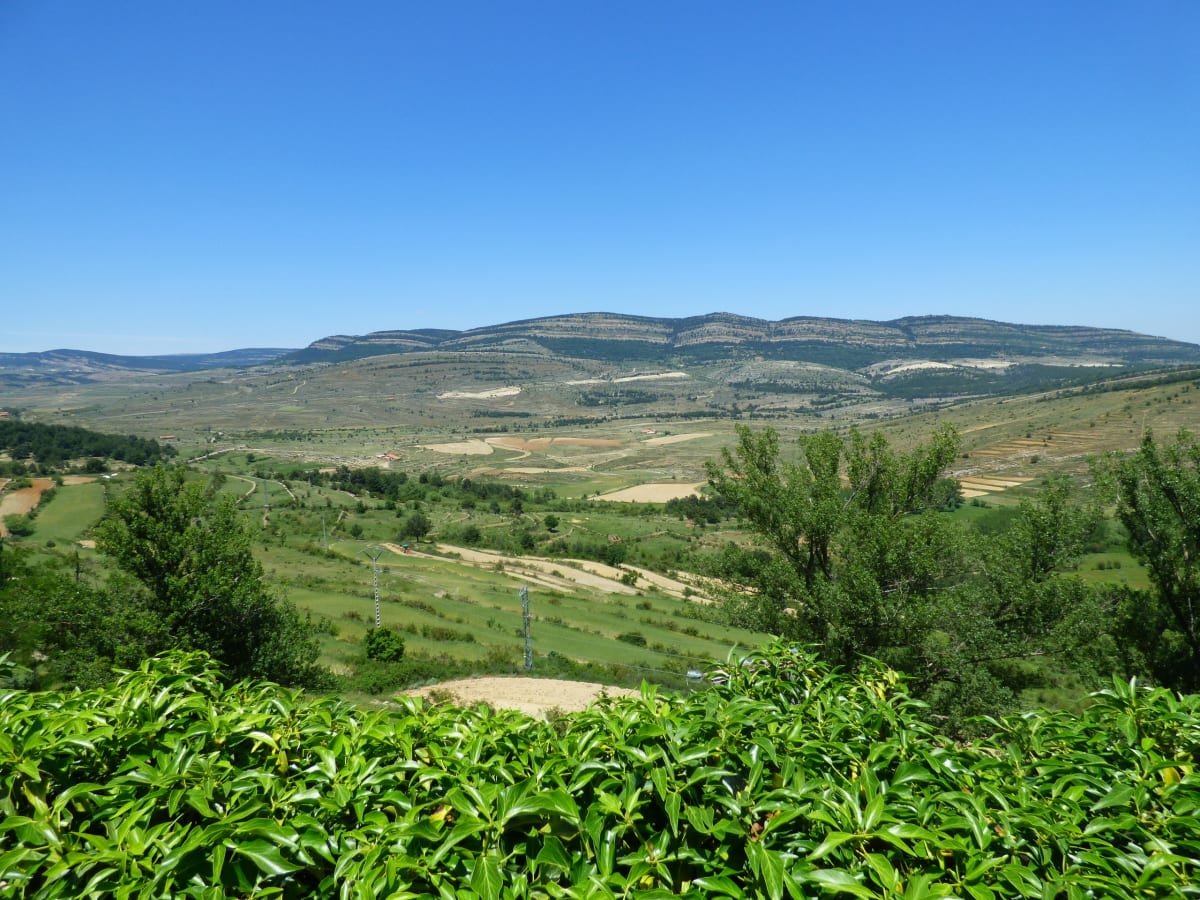 Trail Run Manzanera