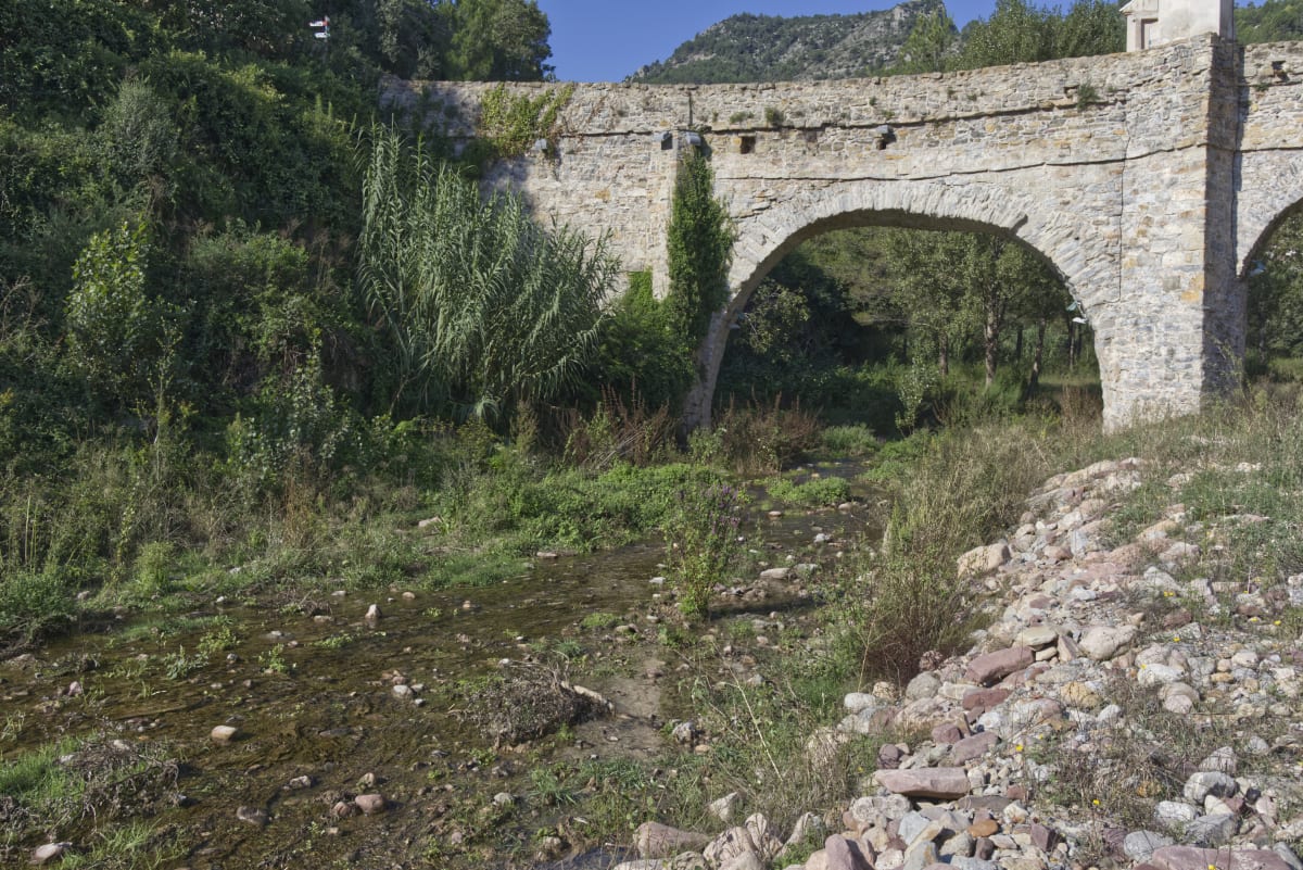 IX Trail Montan