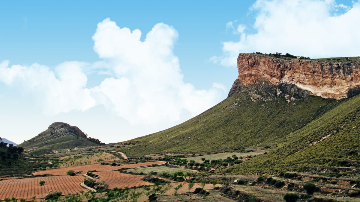Barbudo Trail