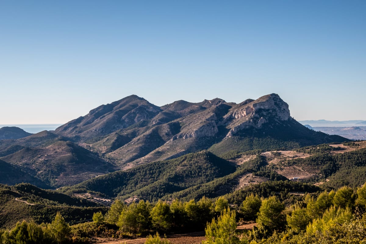 Sendero de Primavera Confrides