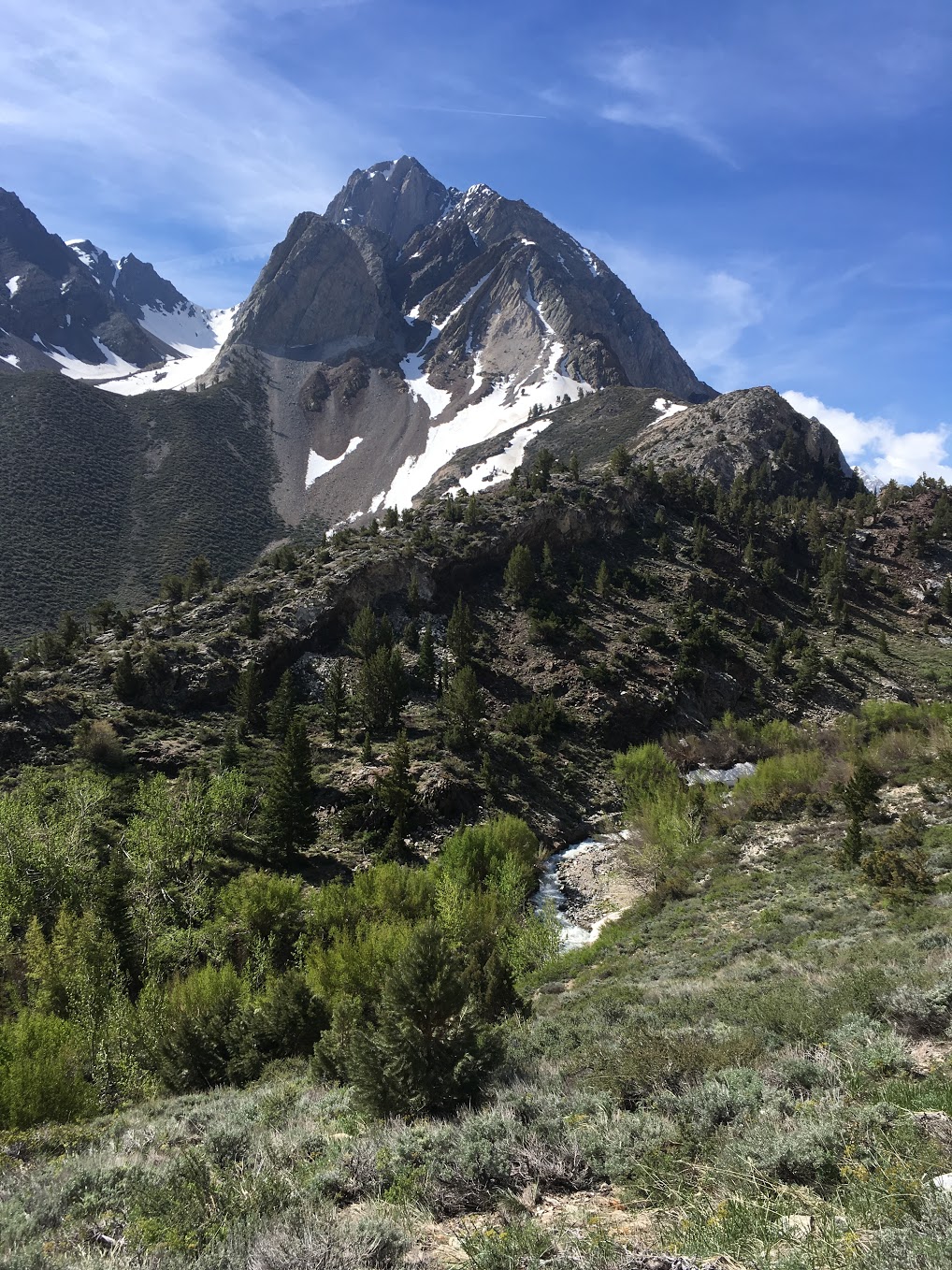 A view from the trail.