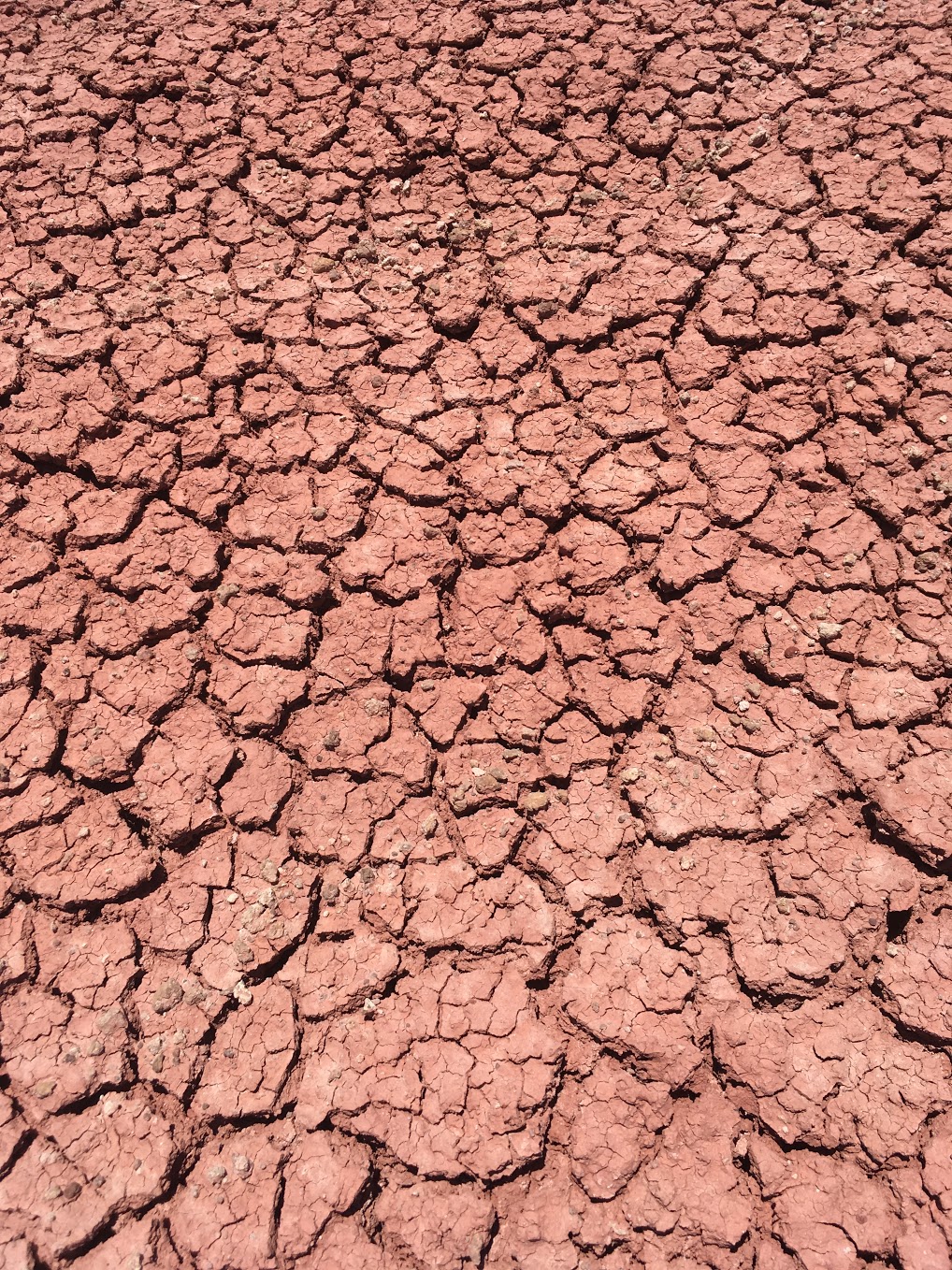Close-up of the Mars-y terrain.