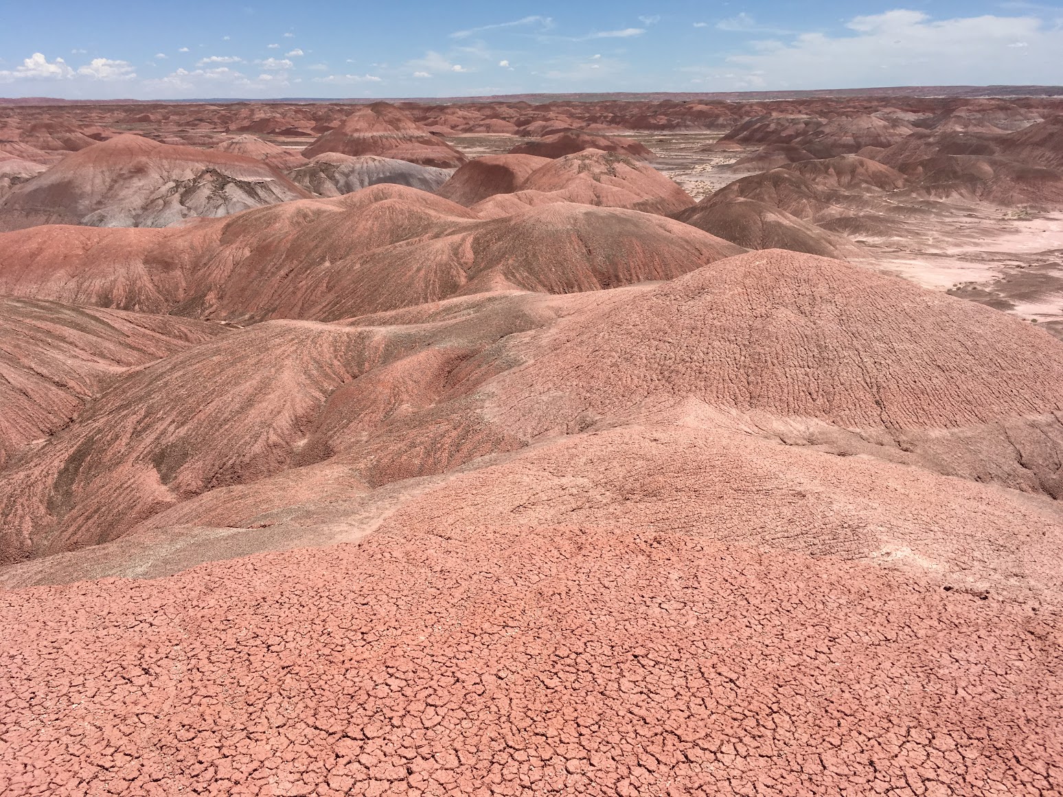 Mars-y terrain.