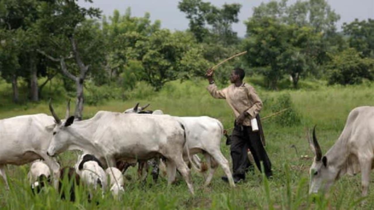 JUST IN: Open, night grazing, underage herders banned in Southwest JUST IN: Open, night grazing, underage herders banned in Southwest