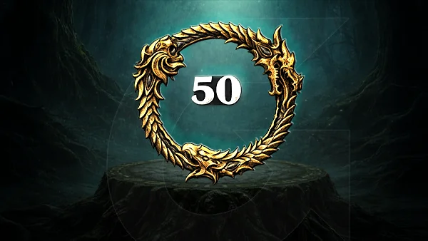 Power Leveling Service