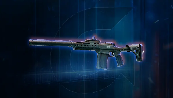 Warden 308 Marksman Rifle Boost