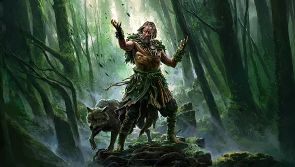 Druid Builds For Sale