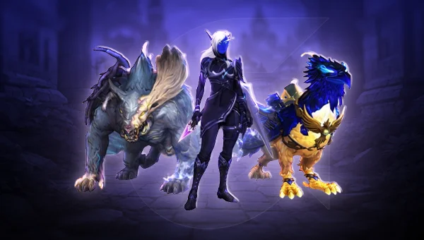 WoW Midnight Raids Bundle