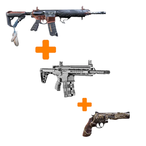 Raid Weapons Bundle