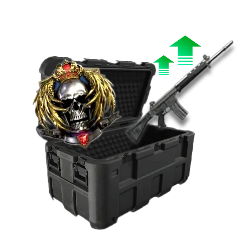 Weapon Leveling & Prestige Bundle