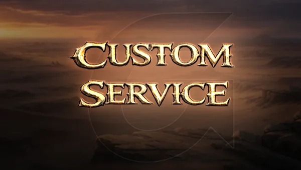 Custom Service
