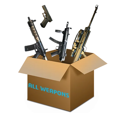 Max Level Bundle (all weapons)