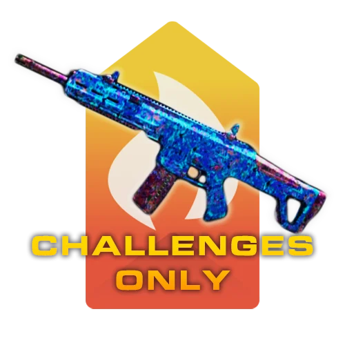 Priceless Challenges