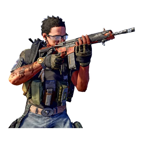 Assault Rifle PvE Build