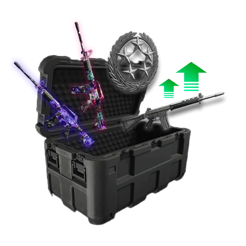 Weapon Leveling & Camos Bundle