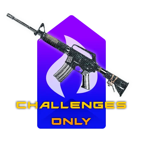Catalyst Camo Challenges