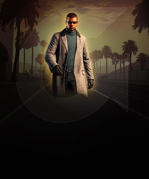 Executive Career (CEO)