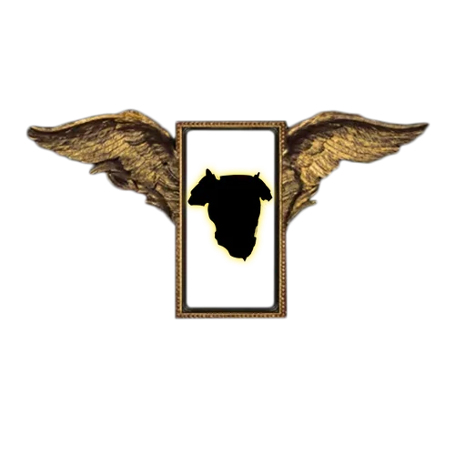 Crafted Rare Body Armour