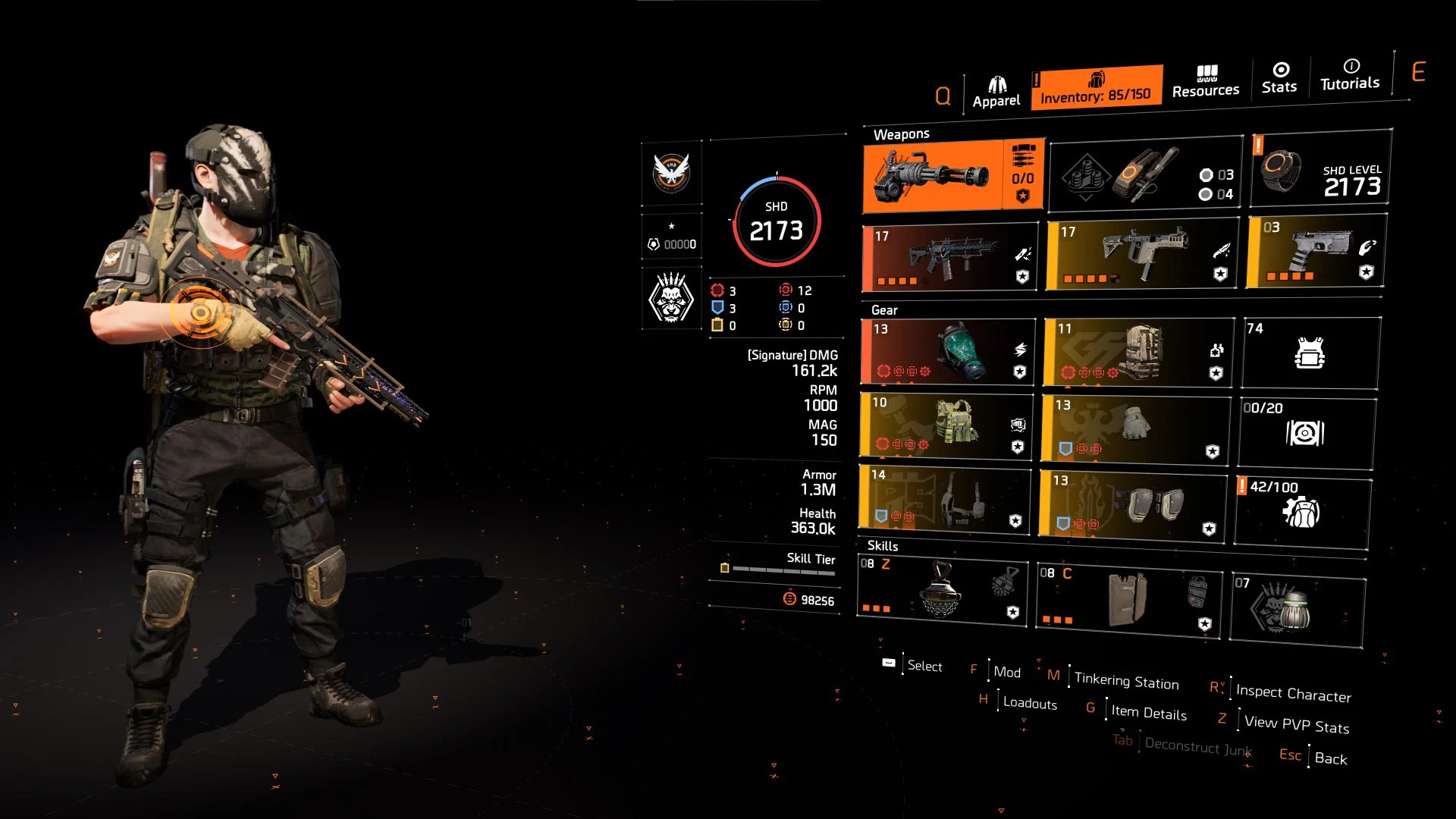 Assault Rifle PvE Build