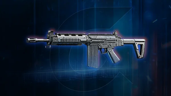 PARA Assault Rifle Boost
