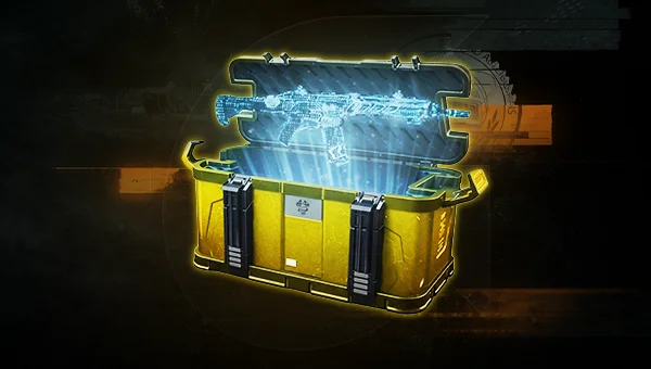 Weapons Unlock Bundle