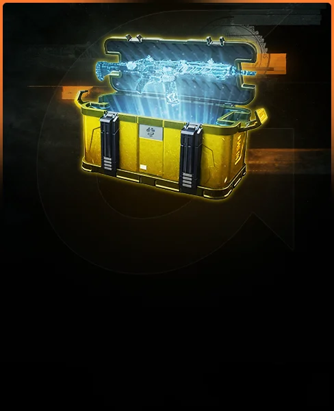 Weapons Unlock Bundle