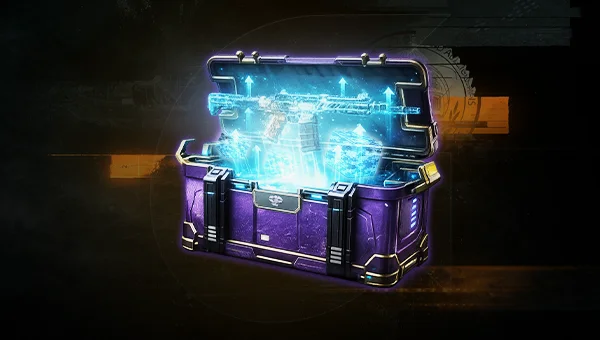 Weapon Leveling & Camos Bundle