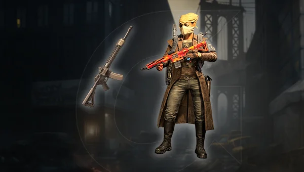 Assault Rifle PvE Build For Sale