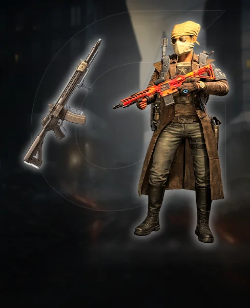 Assault Rifle PvE Build