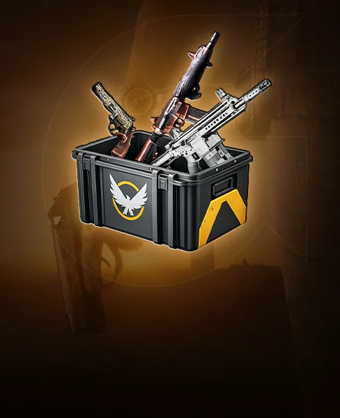 Raid Weapons Bundle
