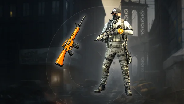 Assault Rifle PvP Build For Sale