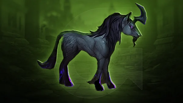 Rogue Transmogs For Sale