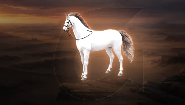 Blade Ball Tokens For Sale