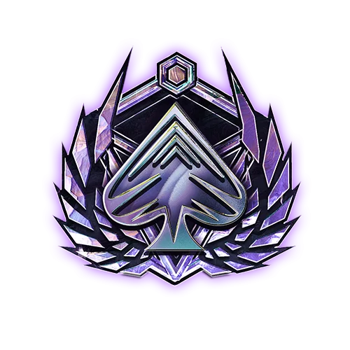 Ace Up The Sleeve Badge