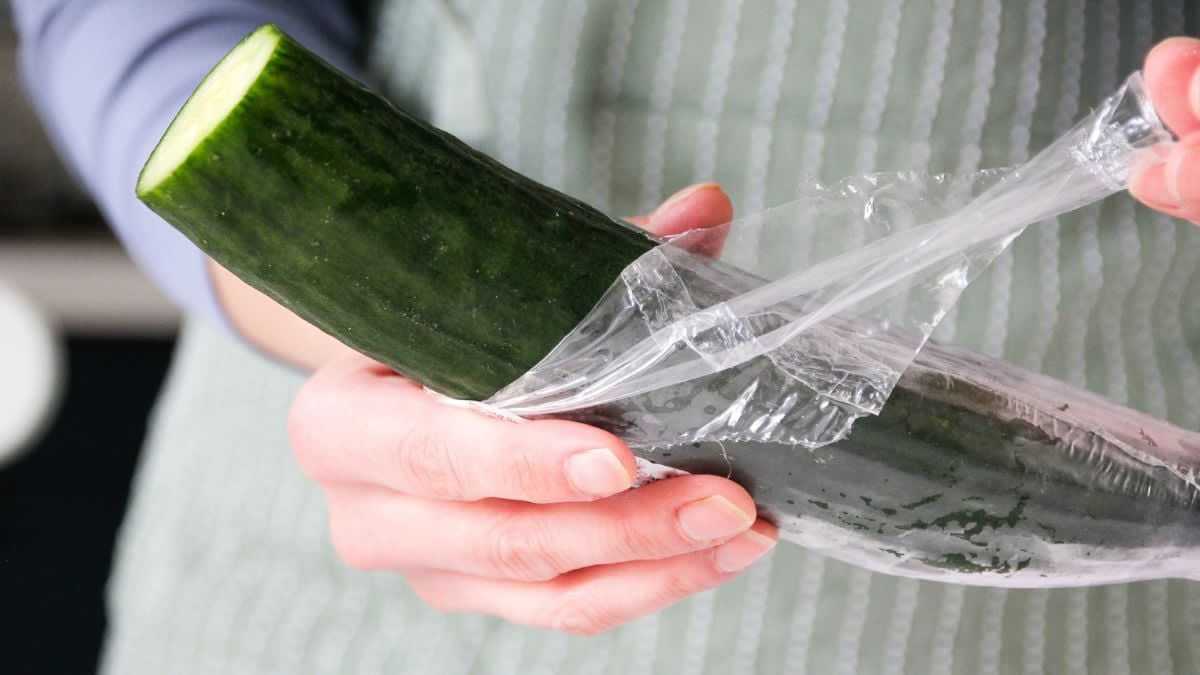 Reducing Plastic Exposure: How a Low-Plastic Diet Alters Body Chemicals
