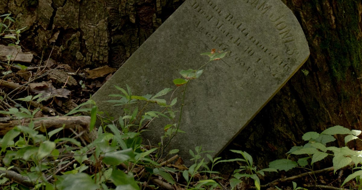 Over 1,000 Children Who Died in State Custody Buried Across U.S., Study Reveals