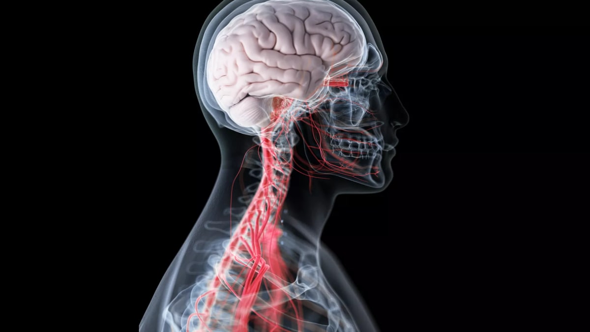Study Examines How Dance Affects Daily Physical Activity in Parkinson’s Disease
